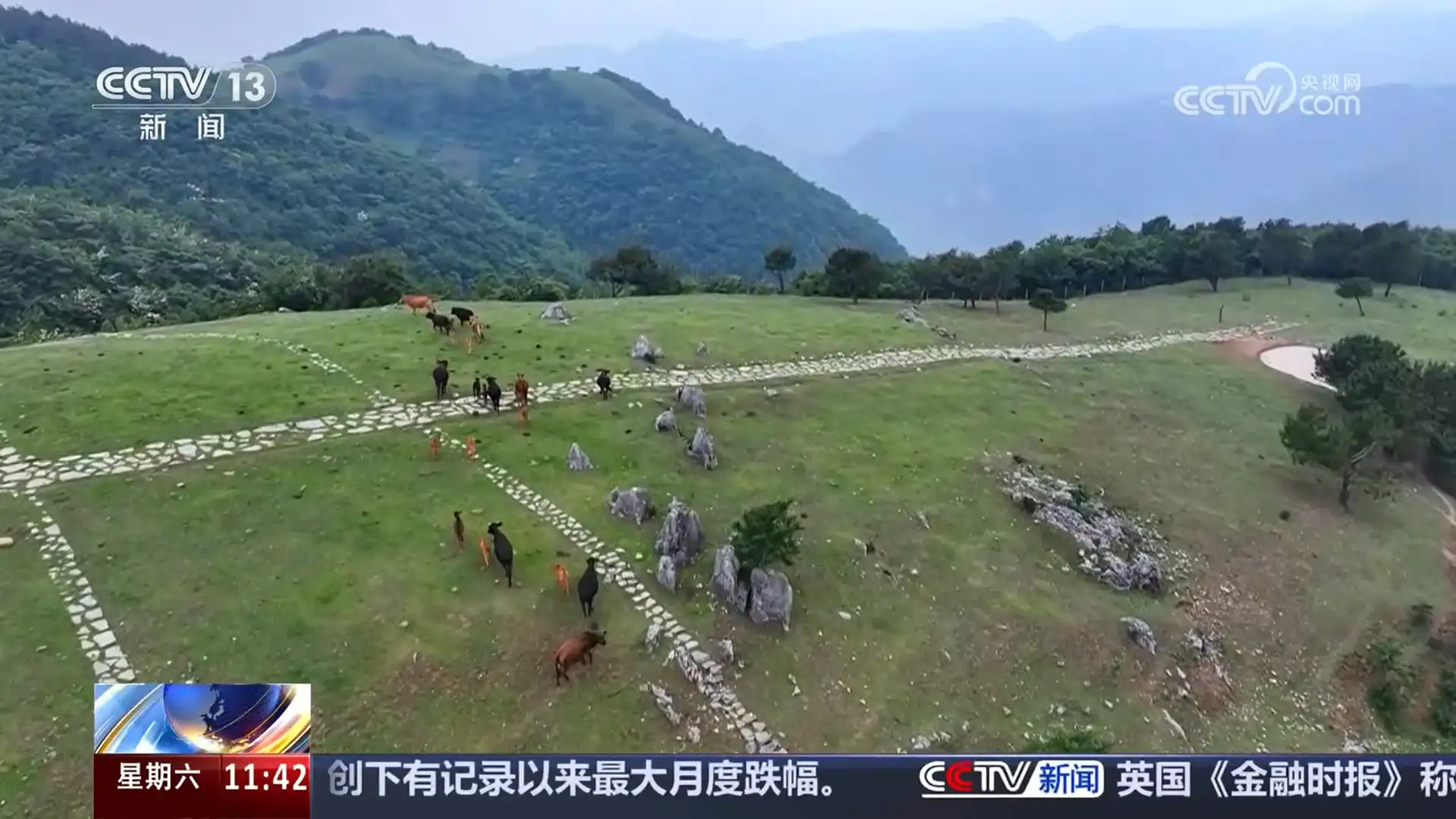 133123h8qo.png.webp