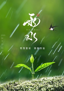 雨水