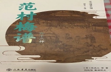 范村菊谱