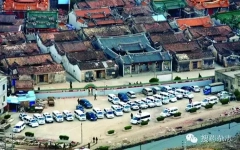 “第一毒村”案