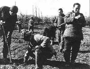 晋察冀边区实行减租减息